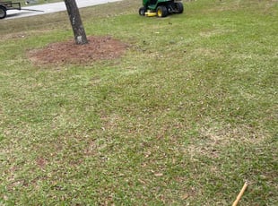 Cleanups by Jonathan Jones for Jane M. in Mandeville, LA