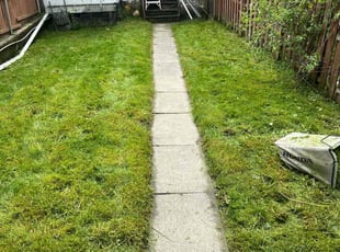 Mimi S.'s Lawn Care service result