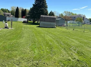Dylan G.'s Grass Cutting service result