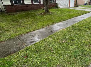 Leaf Removal by Greg Thompson for Maurice W. in Columbus, OH