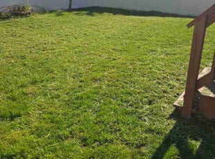 Leaf Removal by Miriam Mayoral-Gress for Tress V. in Rocky Point, NY