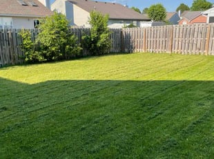Ric S.'s Lawn Mowing service result