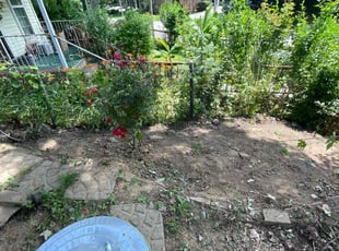 Weeding by Cheyenne Osuala for Emma H. in Louisville, KY
