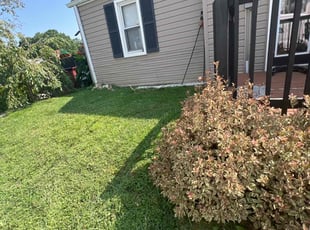 Denise B.'s Lawn Care service result