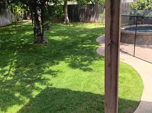 Ariel S.'s Lawn Care service result