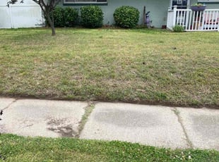 Bush Trimming by Nicholas Harter for Kerry K. in Norfolk, VA