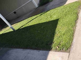 Jody W.'s Grass Cutting service result