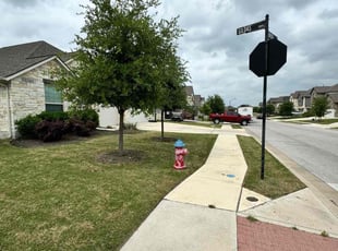 Jennifer F.'s Lawn Care service result