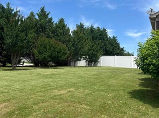 Caterina R.'s Lawn Care service result