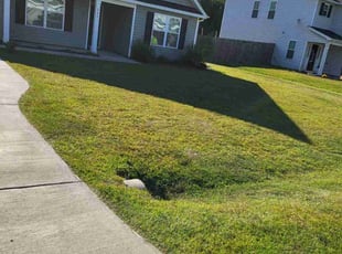Julia w.'s Lawn Maintenance service result
