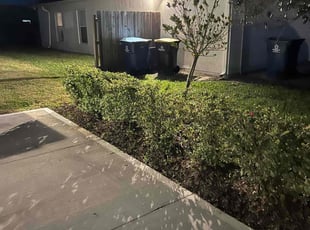 Bush Trimming by Harold Cummings for Dallas M. in Palm Bay, FL