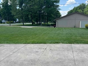 Dr. Terry L.'s Lawn Mowing service result