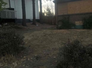 Bush Trimming by Steve Garland for Donnell M. in Aurora, CO