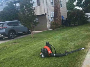 Quentin L.'s Lawn Mowing service result
