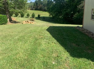 Jo O.'s Lawn Care service result