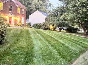 Shishir D.'s Yard Cutting service result