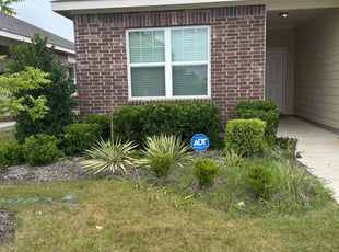 Bush Trimming by Brennen Dikes for Itohan O. in Crowley, TX