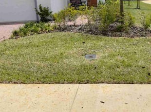 Landscaping by Emanuel Kadyebo for William T. in Minneola, FL