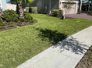Annette F.'s Lawn Mowing service result