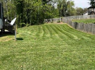 Todd T.'s Lawn Care service result