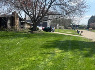 Michelle M.'s Lawn Mowing service result