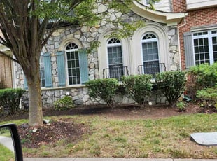 Bush Trimming by Mark Burke for Jamie H. in Chantilly, VA
