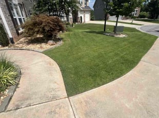 Ceray D.'s Lawn Service service result