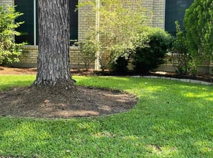Mamie T.'s Lawn Care service result