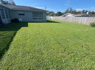 Andrews A.'s Lawn Mowing Service service result