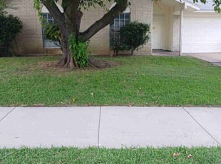 Brandon D.'s Lawn Mowing Service service result