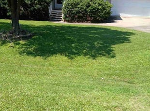 Chris P.'s Lawn Care service result