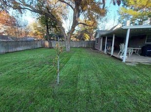 Patty H.'s Grass Cutting service result