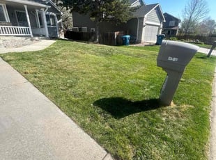 Craig H.'s Lawn Care service result