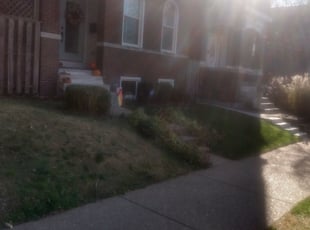 Bush Trimming by Christopher Richardson Sr for Jacob F. in St. Louis, MO