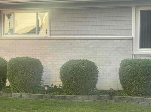 Bush Trimming by Samuel Dorman for Mohammed A. in Dearborn Heights, MI