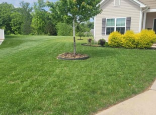 Jenna C.'s Yard Cutting service result