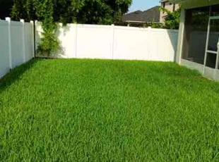 Kevin G.'s Yard Cutting service result