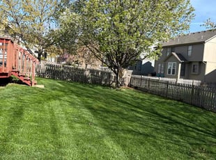 Graham L.'s Yard Cutting service result