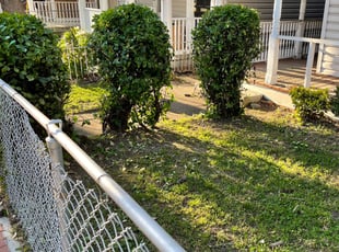 Bush Trimming by Fidel Rodriguez for Carolyn S. in Washington, DC