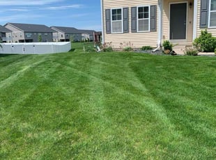 Raymond J.'s Lawn Service service result