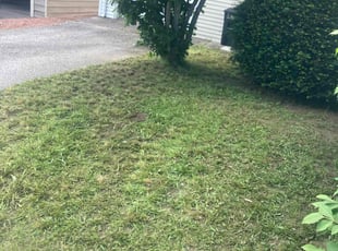 Cheryl H.'s Grass Cutting service result