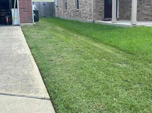 Augustin S.'s Lawn Care service result