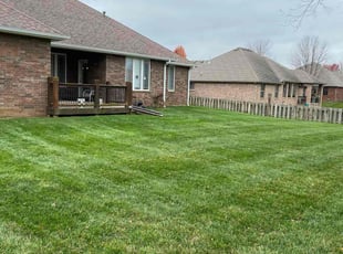 Nyesha S.'s Lawn Care service result