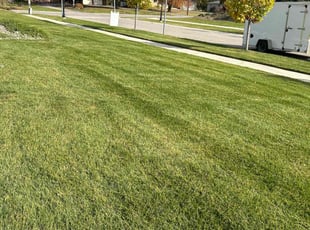 Martha C.'s Lawn Mowing service result