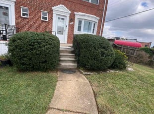 Bush Trimming by JosuΓ© and Eduardo Tena for Shamekia M. in Baltimore, MD