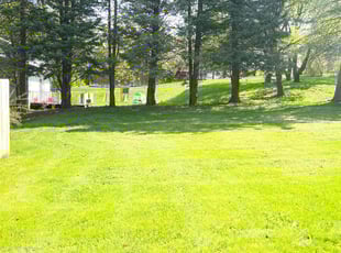 Elizabeth S.'s Lawn Care service result