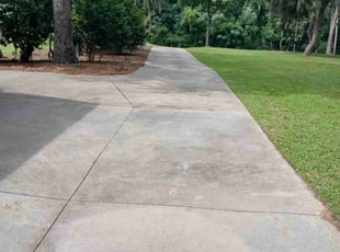 Anani D.'s Lawn Mowing service result