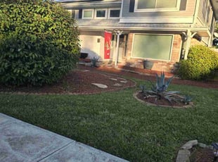 Michelle L.'s Lawn Service service result