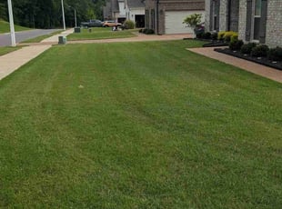 Christine W.'s Lawn Care service result