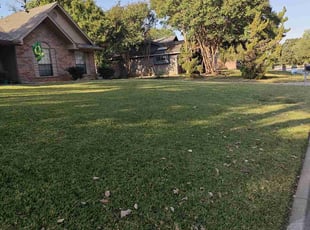 John V.'s Lawn Care service result